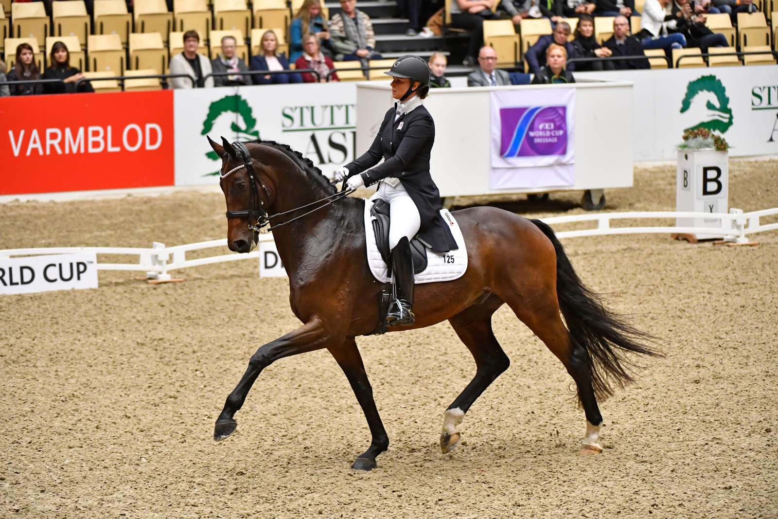Hest